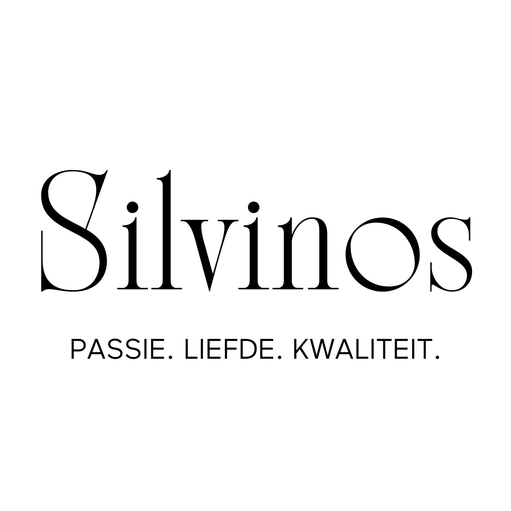 Logo Silvinos